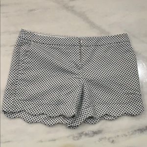 Grey and navy scalloped shorts